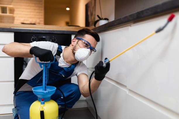 Best Pest Control for Restaurants  in Clymer, PA