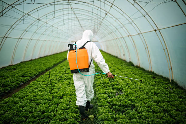 Best Pest Inspection Near Me  in Clymer, PA