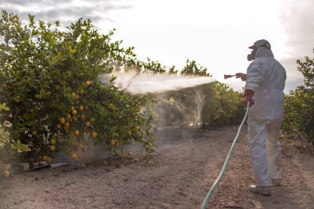 Best Local Pest Control Services  in Clymer, PA
