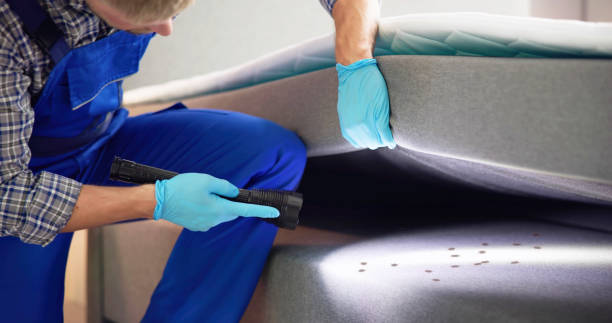Best Affordable Pest Control Services  in Clymer, PA