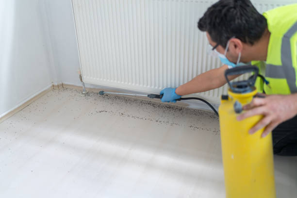 Best Local Pest Control Services  in Clymer, PA