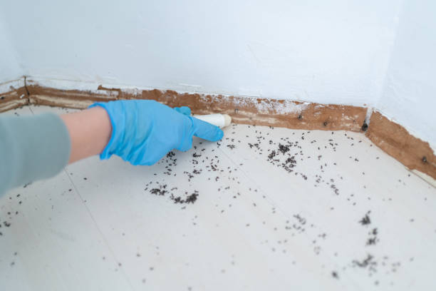 Best Best Pest Control Companies  in Clymer, PA