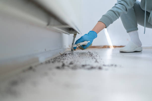 Best Pest Prevention Services  in Clymer, PA